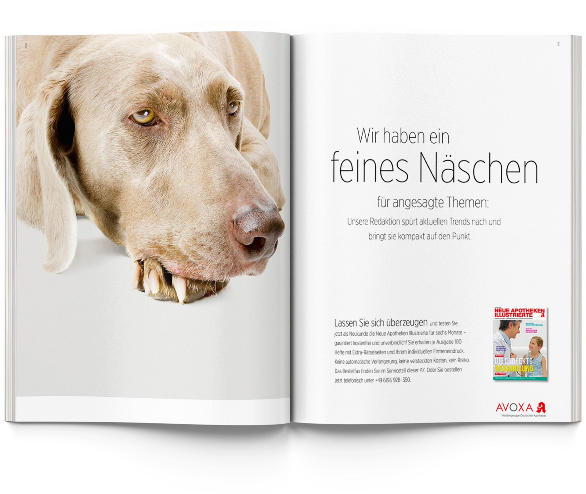 Neue Apotheken Illustrierte Kampagne Doppelseitenanzeige