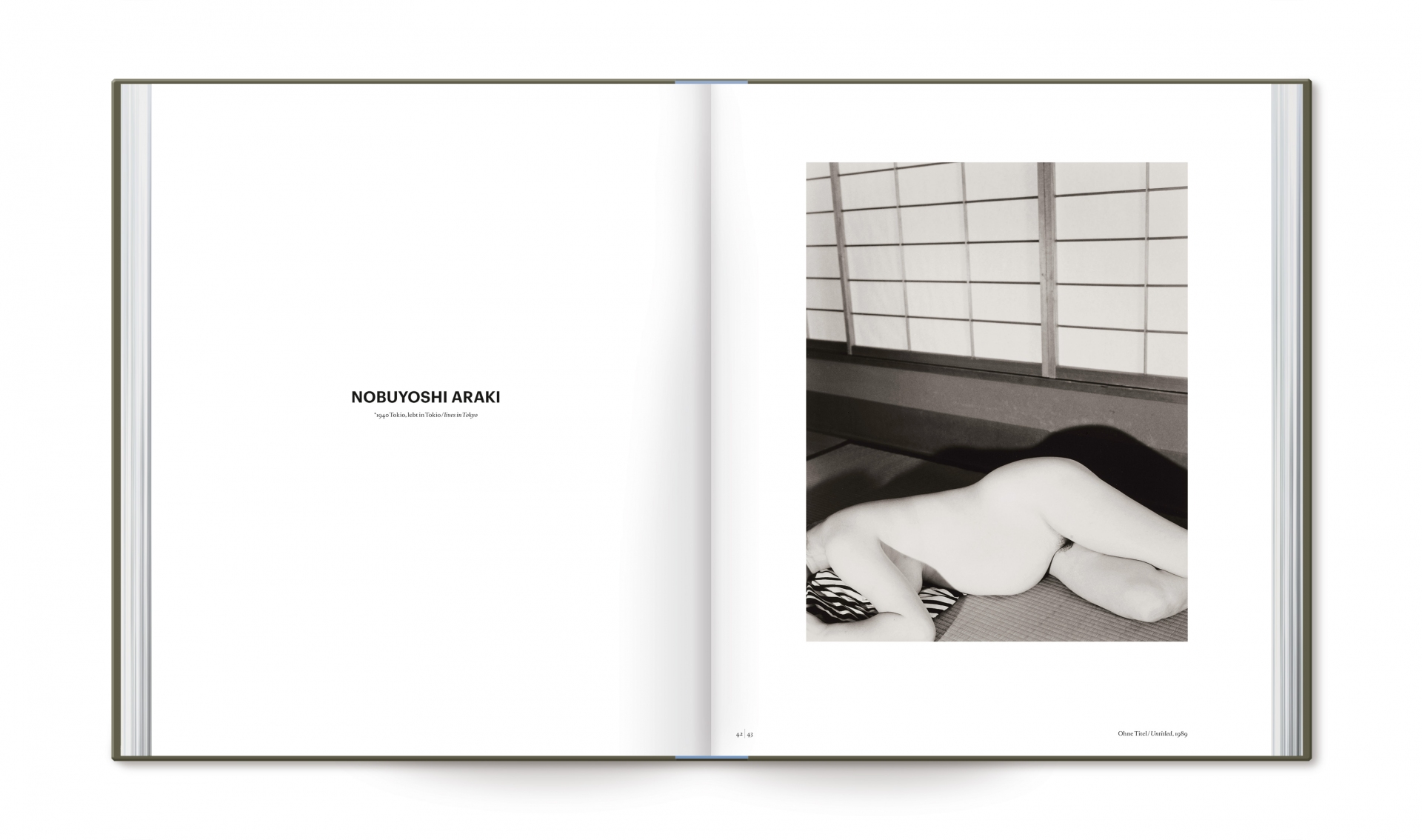 Buchgestaltung Ausstellungskatalog - The Lucid Evidence - Katalog der fotografischen Sammlung - Museum für Moderne Kunst - Doppelseite