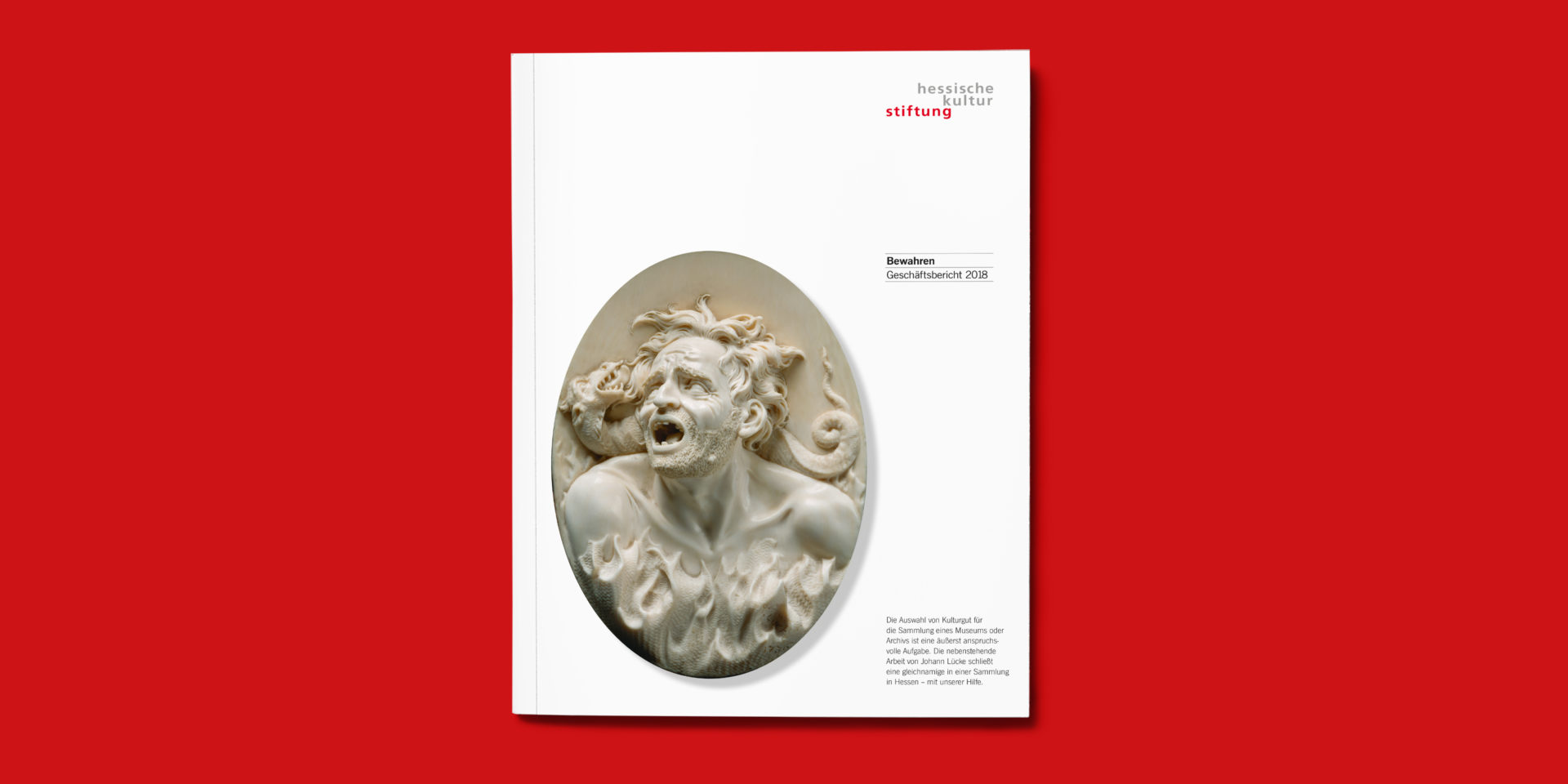 Gestaltung Geschäftsbericht 2019 Hessische Kulturstiftung Detailaufnahme - Cover