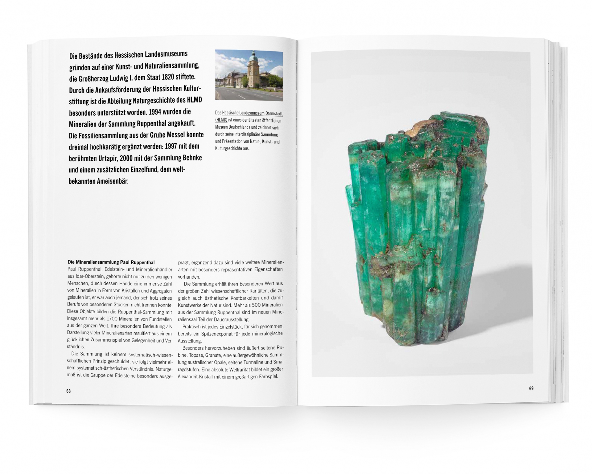 Buchgestaltung Jubiläumsband 30 Jahre Hessische Kulturstiftung Doppelseite Fossilien