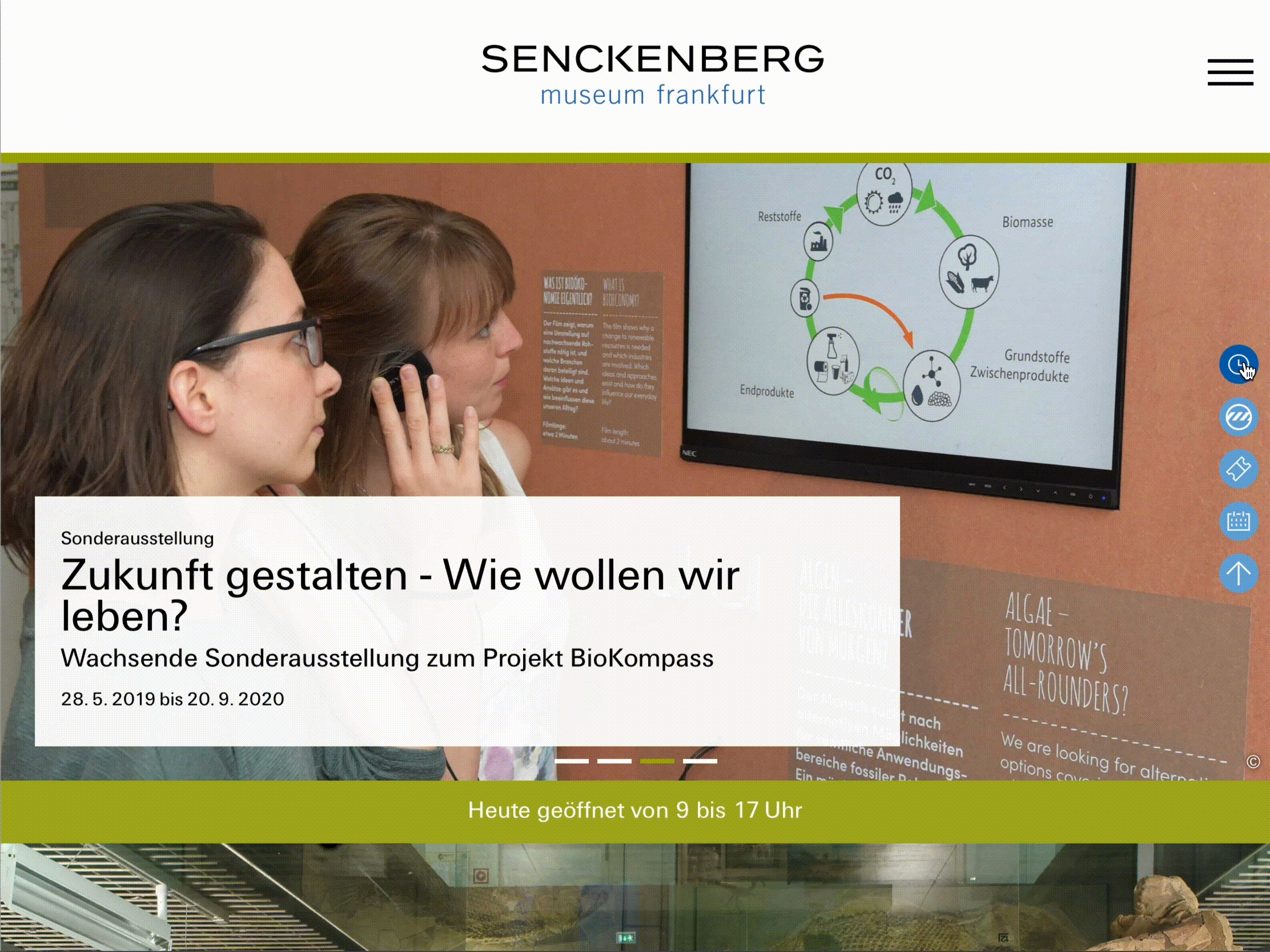 Webdesign - Websitefamilie Senckenberg Forschungsinstitut und Naturmuseen 