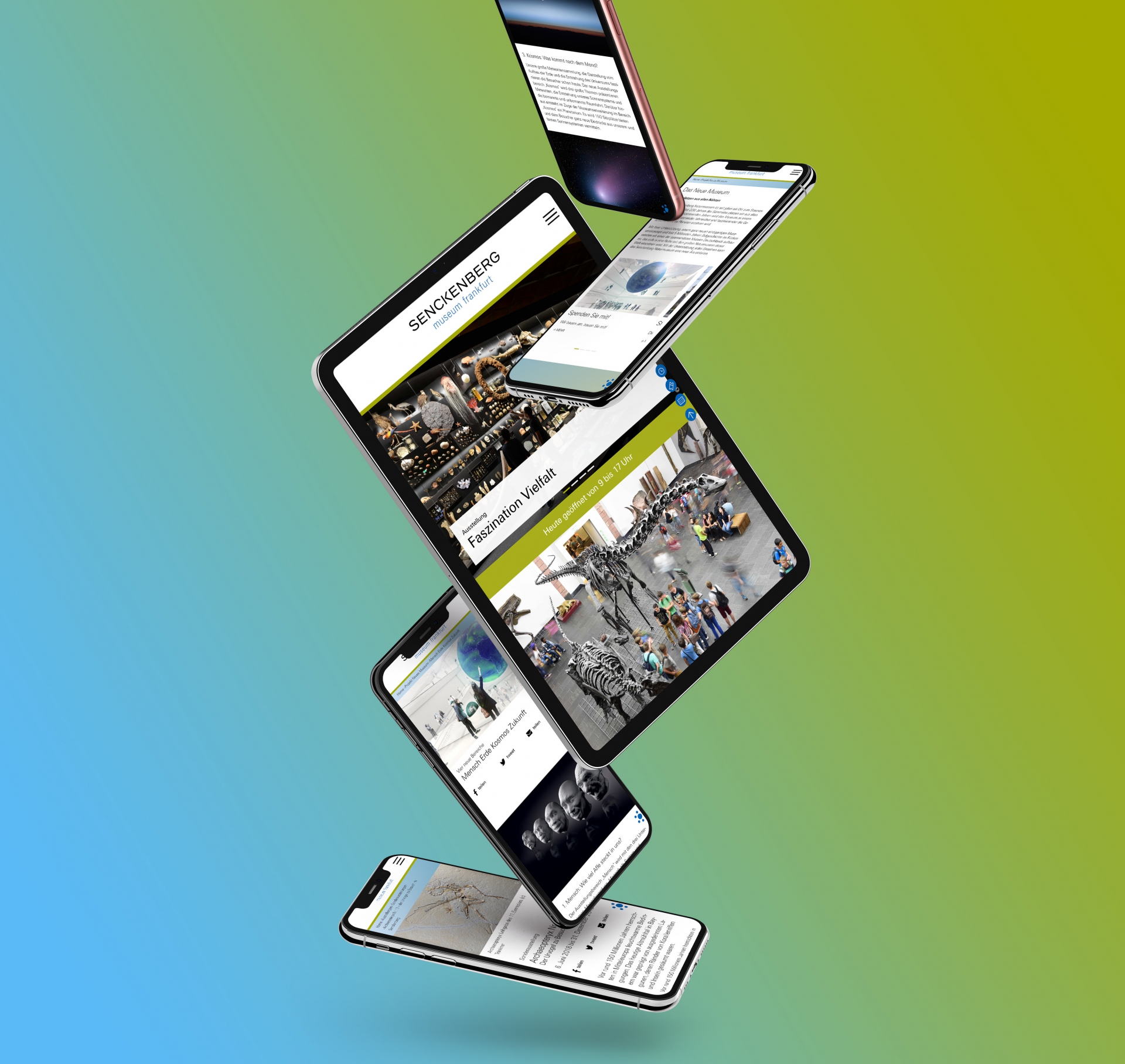 Responsive Webdesign - Gestaltung und Programmierung Websitefamilie für die Senckenberg Gesellschaft für Naturforschung