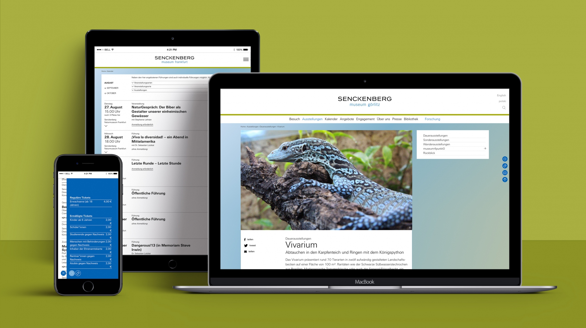 Responsive Webdesign - Gestaltung und Programmierung Websitefamilie für die Senckenberg Gesellschaft für Naturforschung