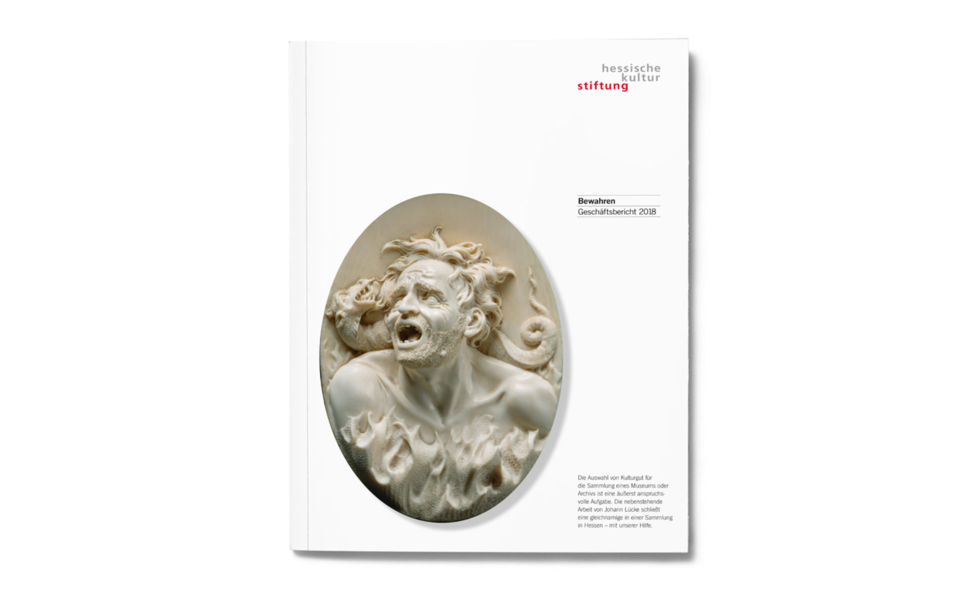 Gestaltung Geschäftsbericht 2019 Hessische Kulturstiftung Detailaufnahme - Cover